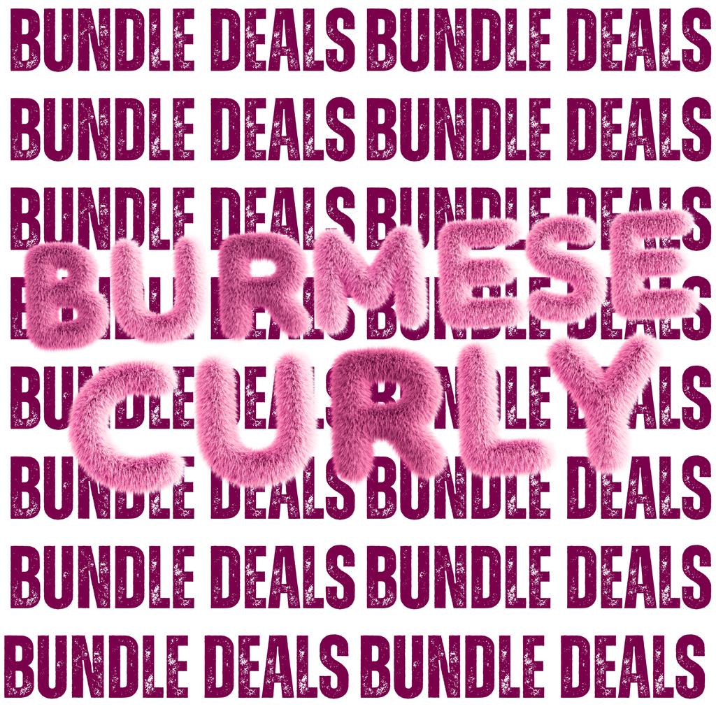 Bundle Deal - Burmese Curly