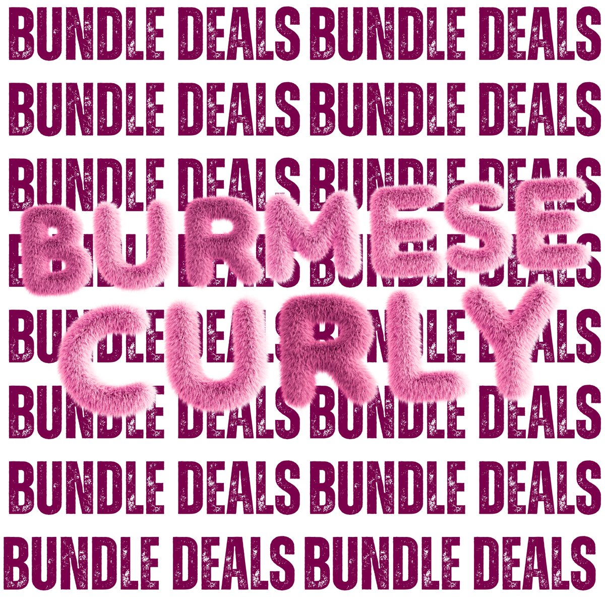Bundle Deal - Burmese Curly